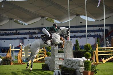 Dublin horse show